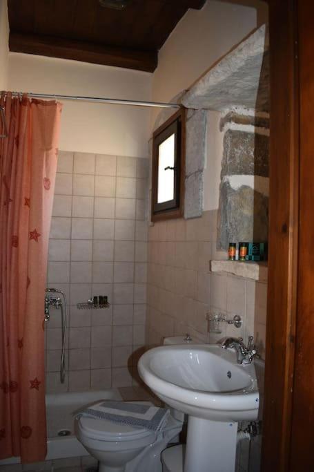 Traditional Villa With Pool In Sfakia Imbros エクステリア 写真