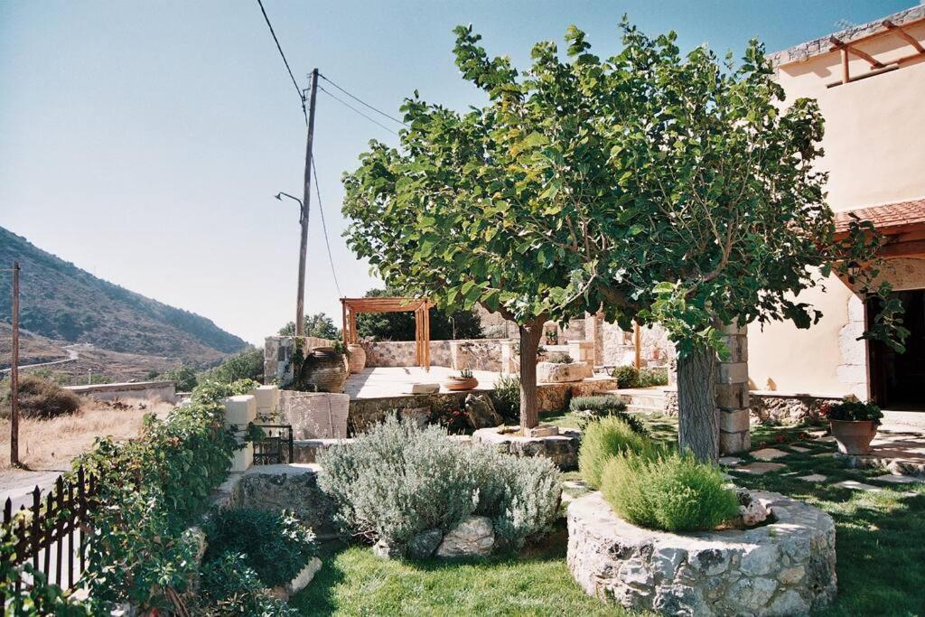 Traditional Villa With Pool In Sfakia Imbros エクステリア 写真