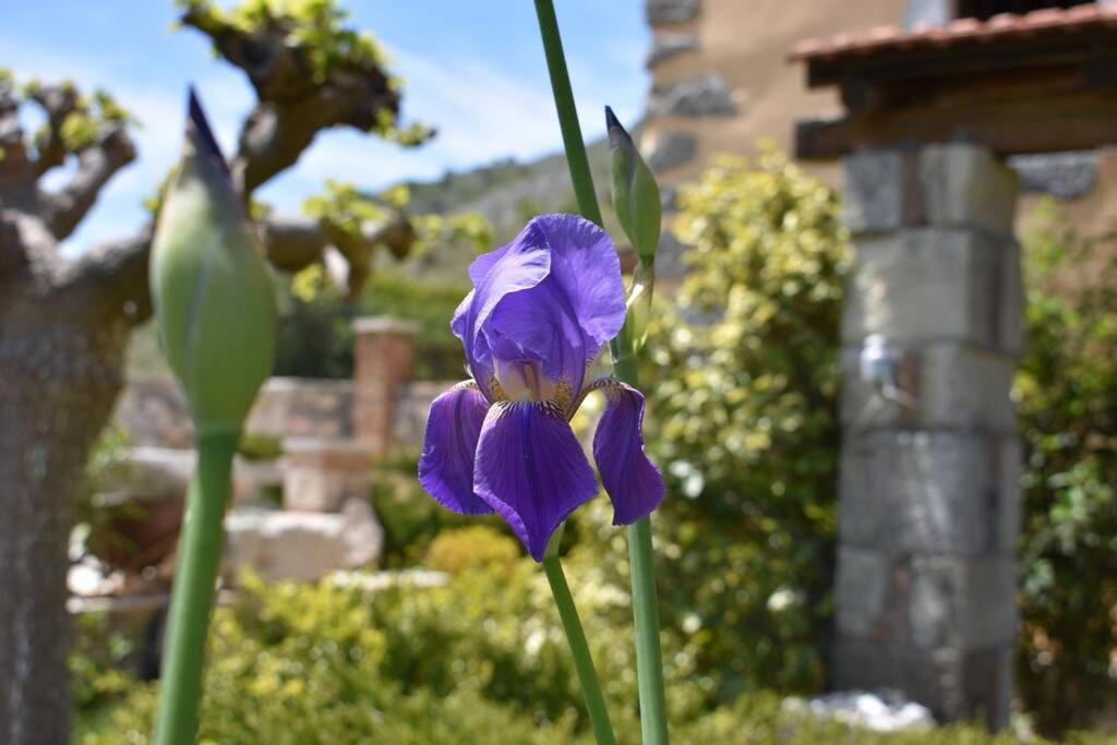 Traditional Villa With Pool In Sfakia Imbros エクステリア 写真