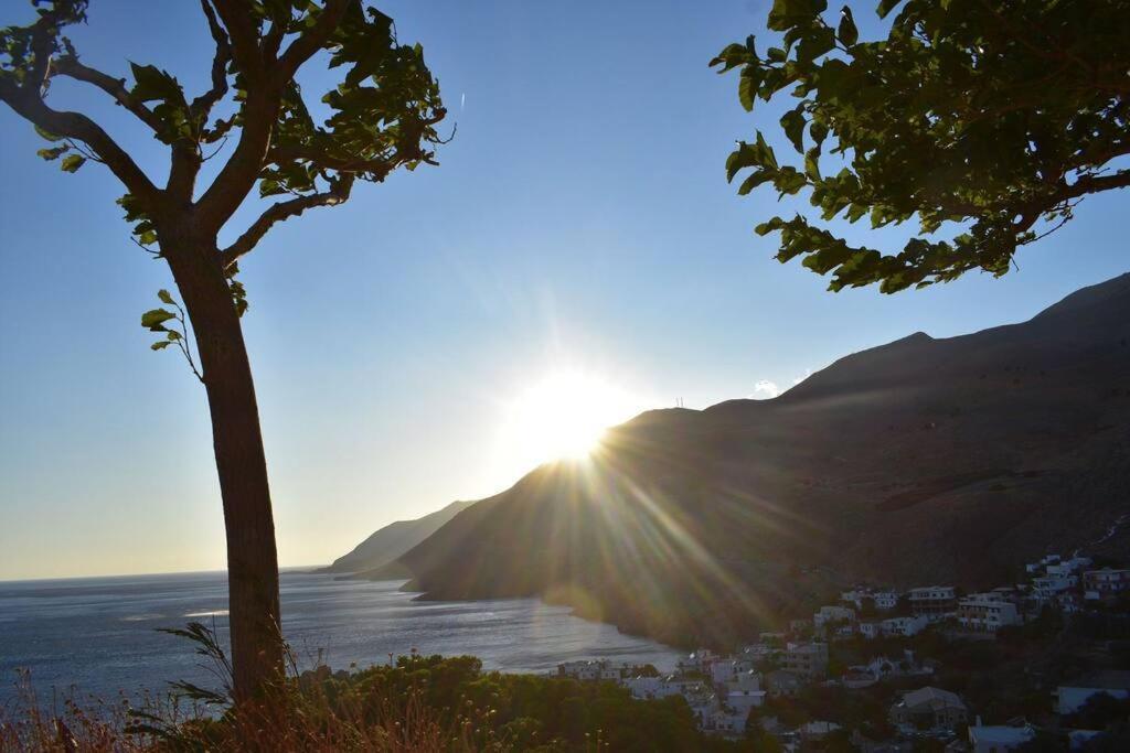 Traditional Villa With Pool In Sfakia Imbros エクステリア 写真