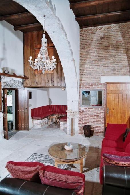 Traditional Villa With Pool In Sfakia Imbros エクステリア 写真
